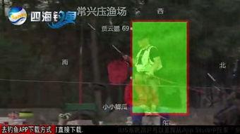 黑坑江湖爆料视频下载免费,免费下载爆料视频背后的秘密 第1张 黑坑江湖爆料视频下载免费,免费下载爆料视频背后的秘密 第1张
